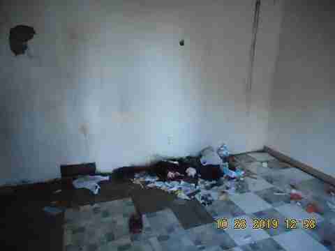 11377 Penrod (7)_m.jpg